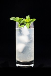 Alabama Fizz Cocktail