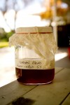 Acadian Mead -- 5:1 Honey:Water!